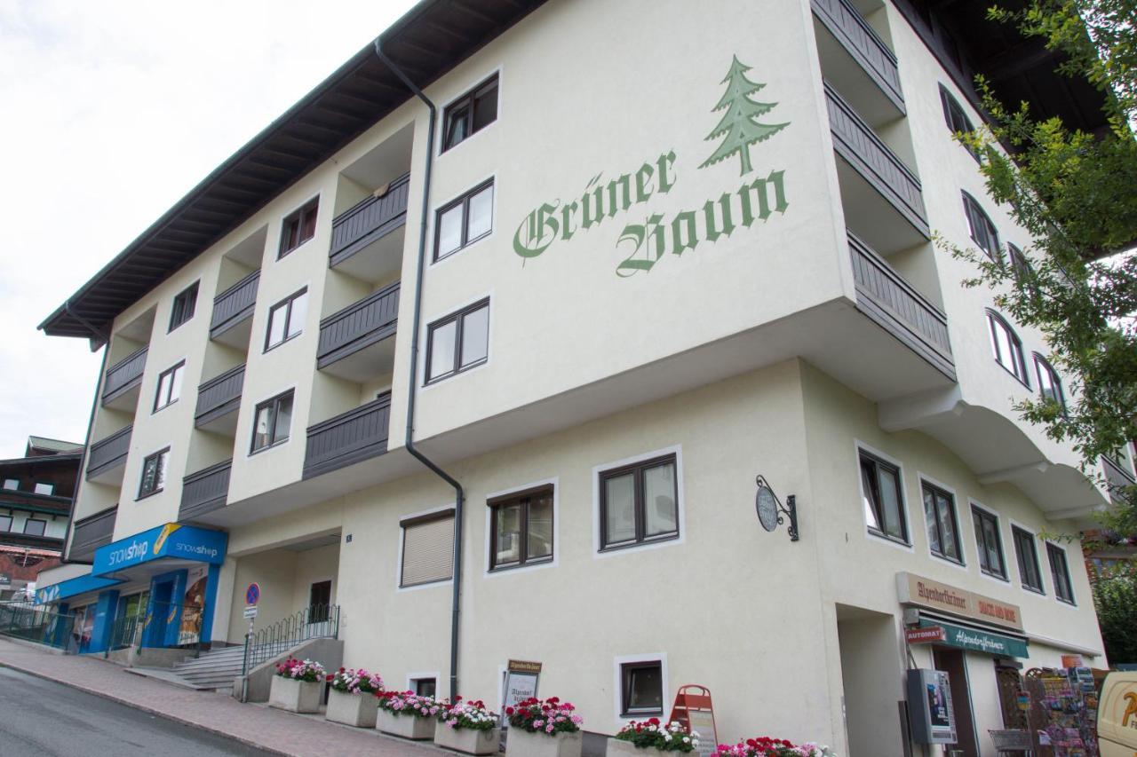Apartment Gruner Baum Alpendorf 蓬高圣约翰 外观 照片